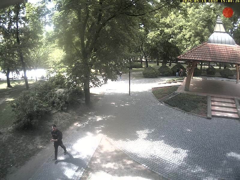 Camera Live Image