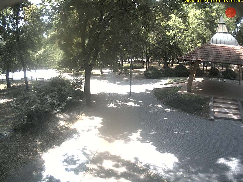 Camera Live Image