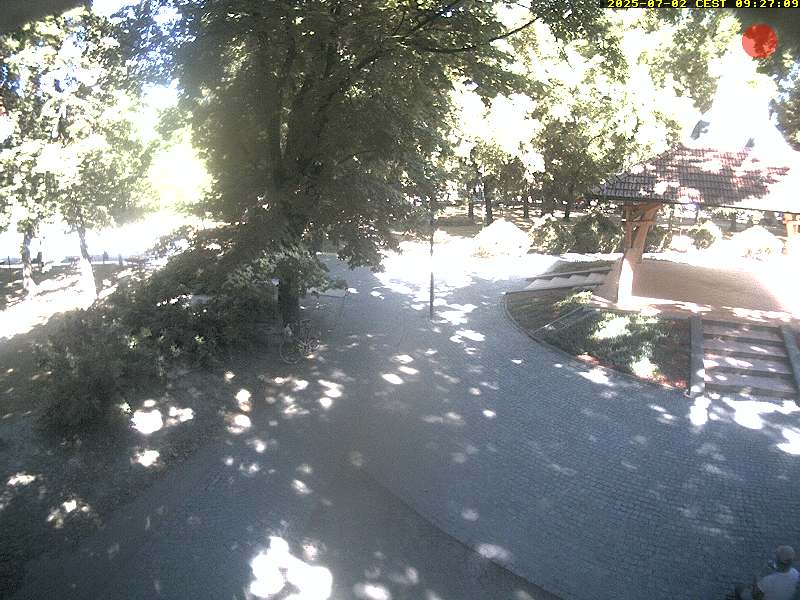 Camera Live Image