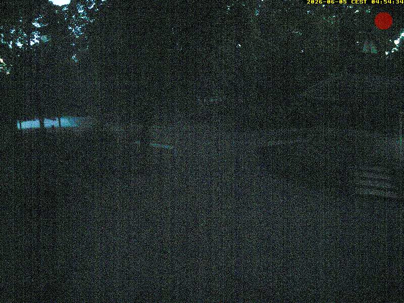 Camera Live Image