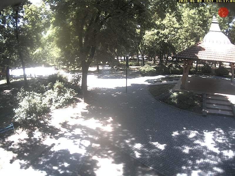 Camera Live Image