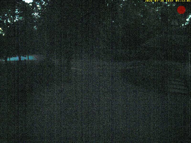 Camera Live Image