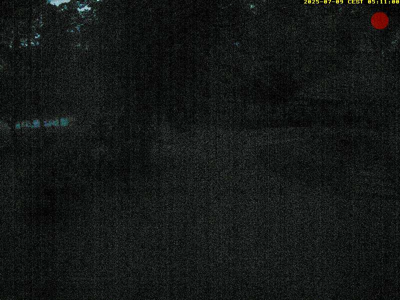 Camera Live Image