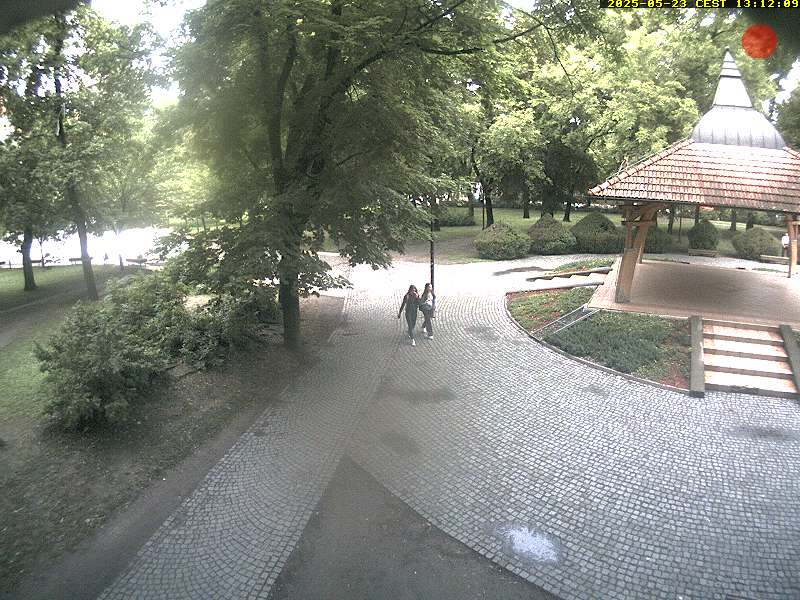 Camera Live Image