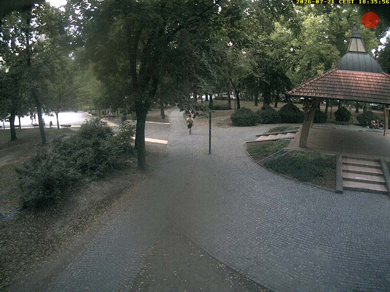 Camera Live Image