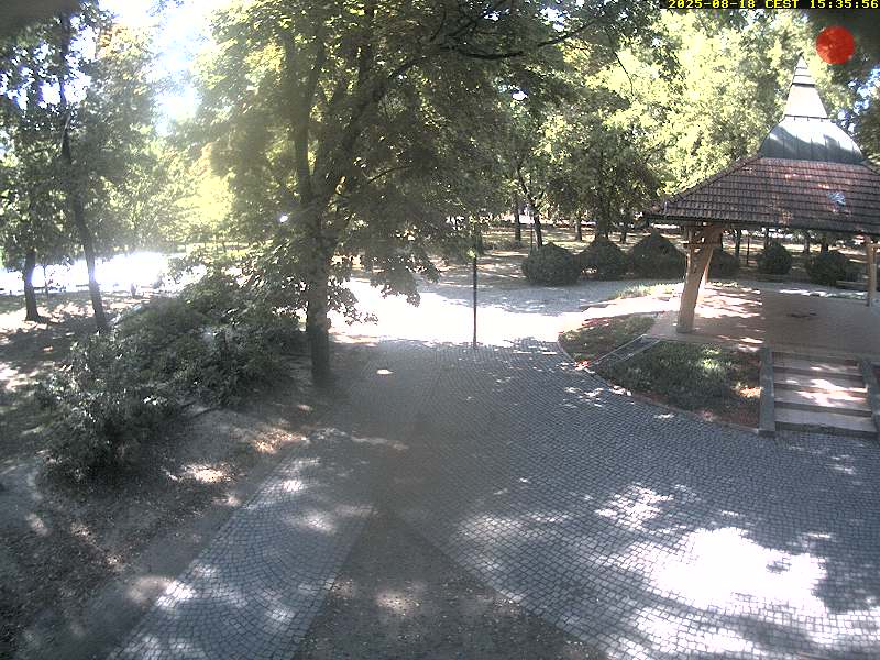 Camera Live Image